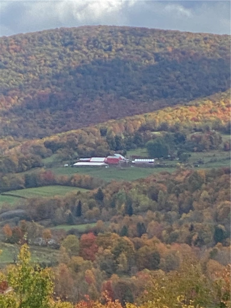 535 Babbling Brook Road Bovina Center, NY 13740 - Photo 6 of 26