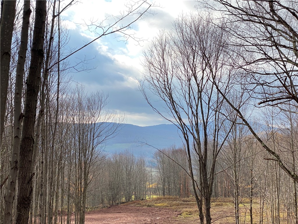 535 Babbling Brook Road Bovina Center, NY 13740 - Photo 7 of 26