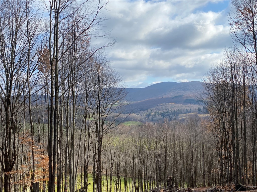 535 Babbling Brook Road Bovina Center, NY 13740 - Photo 8 of 26