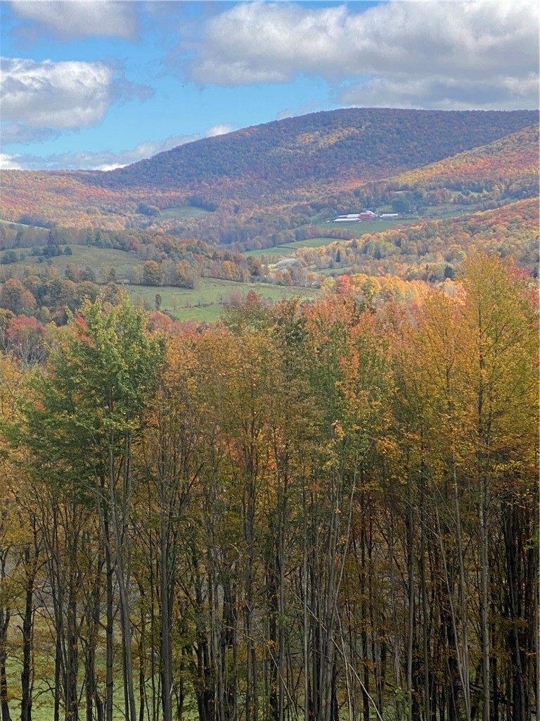 535 Babbling Brook Road Bovina Center, NY 13740 - Photo 9 of 26