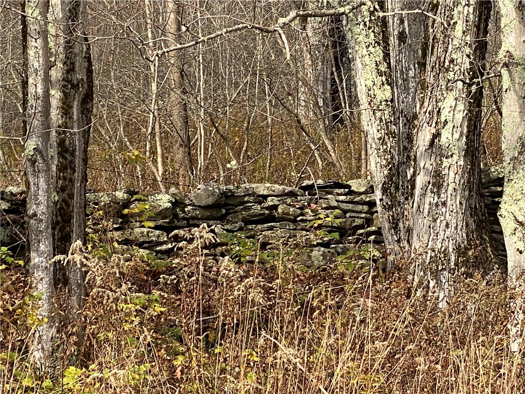 535 Babbling Brook Road Bovina Center, NY 13740 - Photo 10 of 26