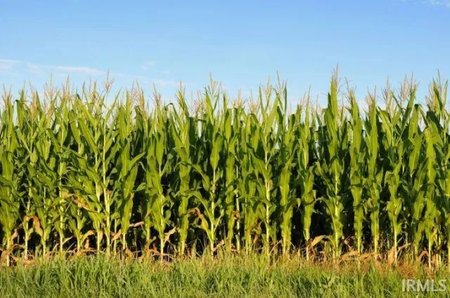 $82,944 | 700 Interstate 69, Van Buren, IN 46991