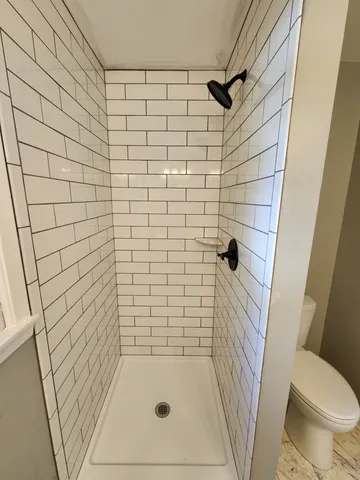 a bathroom with a shower and a toilet