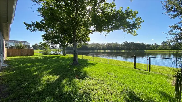 a view of a park with trees in the background