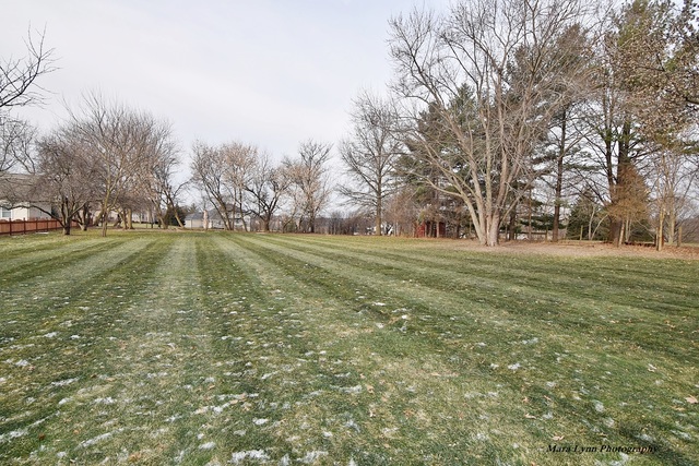 6N048 Old Homestead Road St. Charles, IL 60175 - Photo 22 of 25 Gallery Image 22