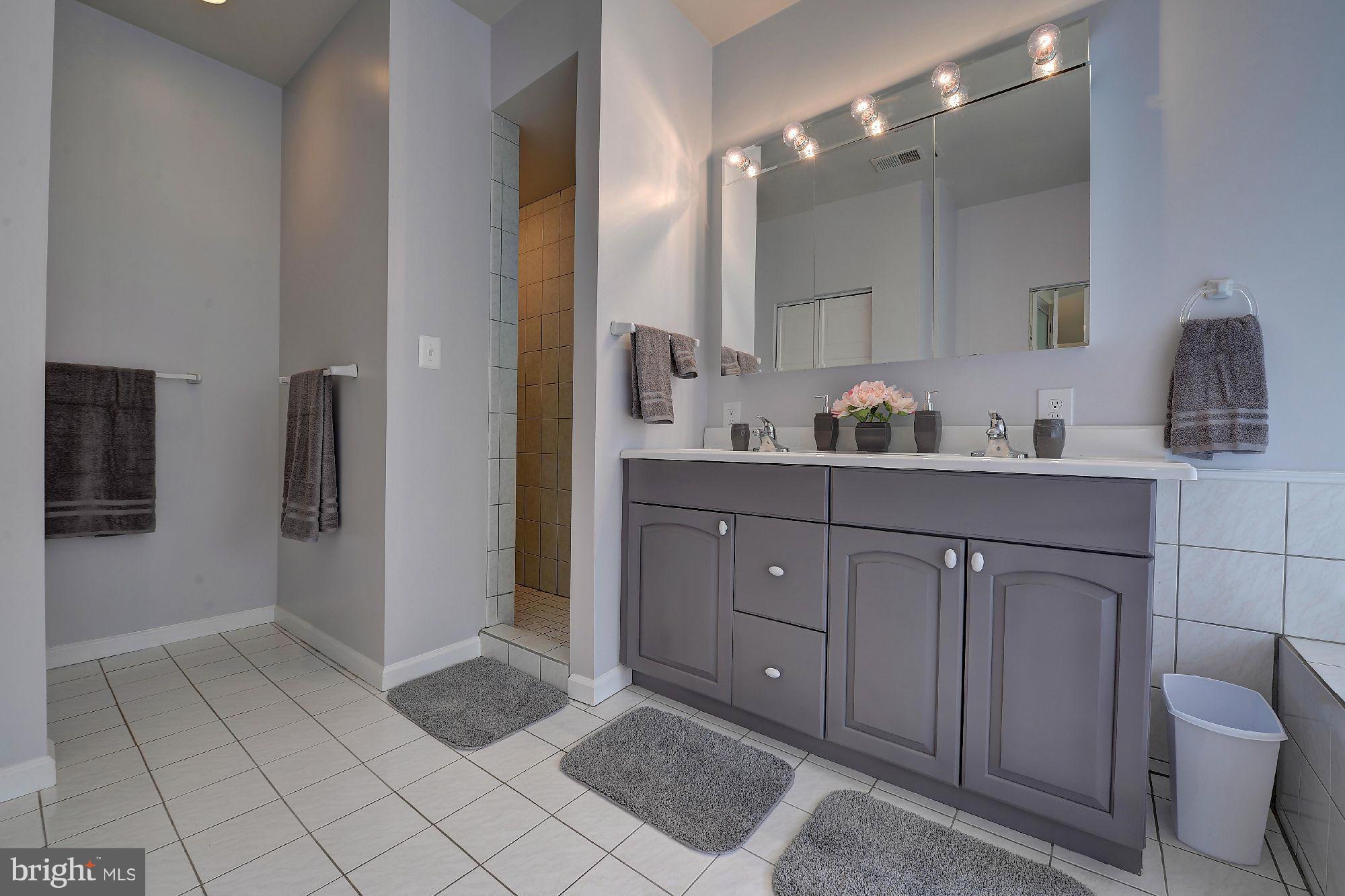 10906 Sunset Hills Road Reston, VA 20190 - Photo 20 of 30 Bath (Master)