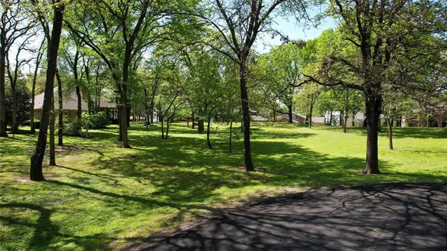 a view of a park with a tree