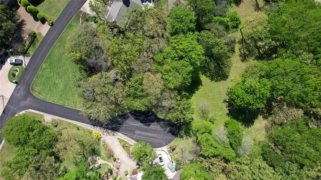a view of a garden with plants