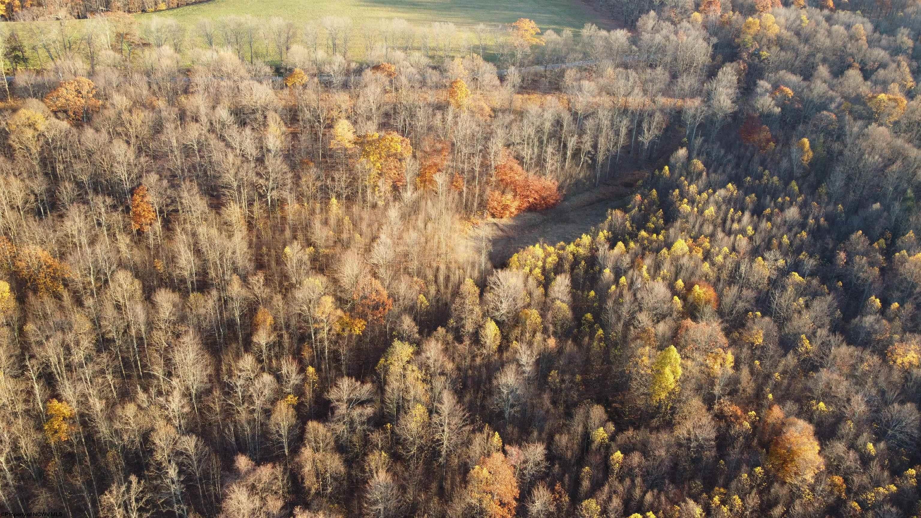 25-acres Stemple Ridge Road Aurora, WV 26705 - Photo 10 of 27 Gallery Image 10