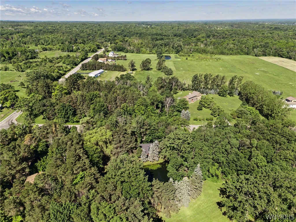 10985 Griswold Road Darien, NY 14040 - Photo 50 of 50