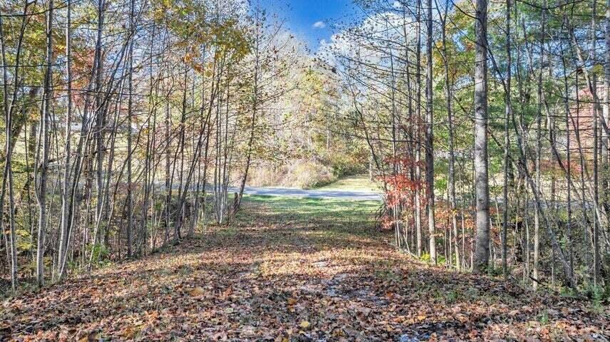 0 Six Mile Post Road Callaway, VA 24067 - Photo 21 of 73 a view of backyard with green space
