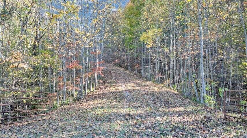 0 Six Mile Post Road Callaway, VA 24067 - Photo 22 of 73 a view of a yard with trees in the background