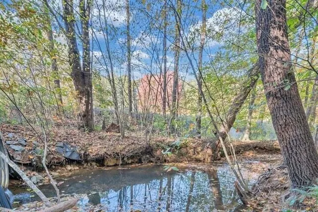 a view of a garden with trees