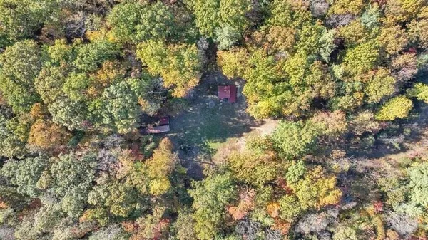 a view of a tree in front of a house