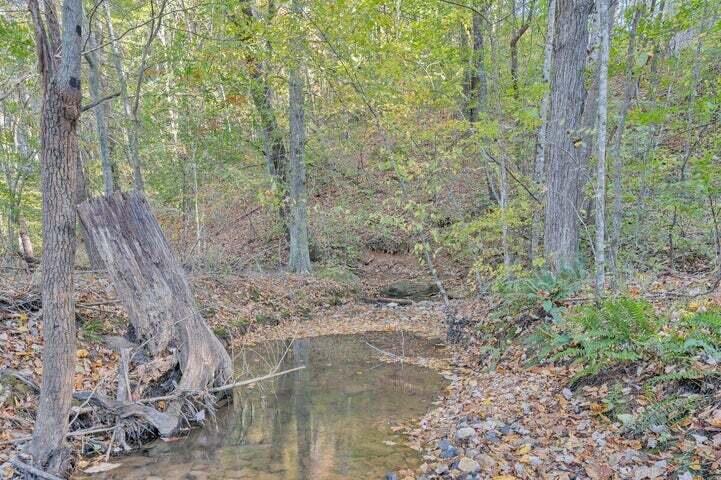 0 Six Mile Post Road Callaway, VA 24067 - Photo 40 of 73 a view of a forest filled with trees
