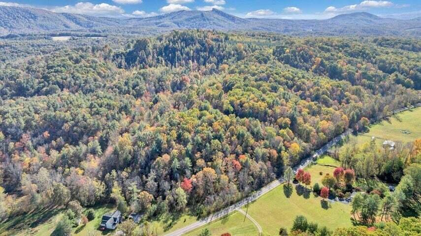 0 Six Mile Post Road Callaway, VA 24067 - Photo 44 of 73 a42