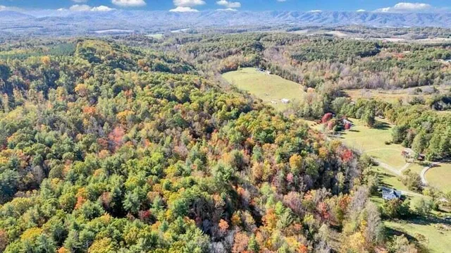 a view of outdoor space and green space