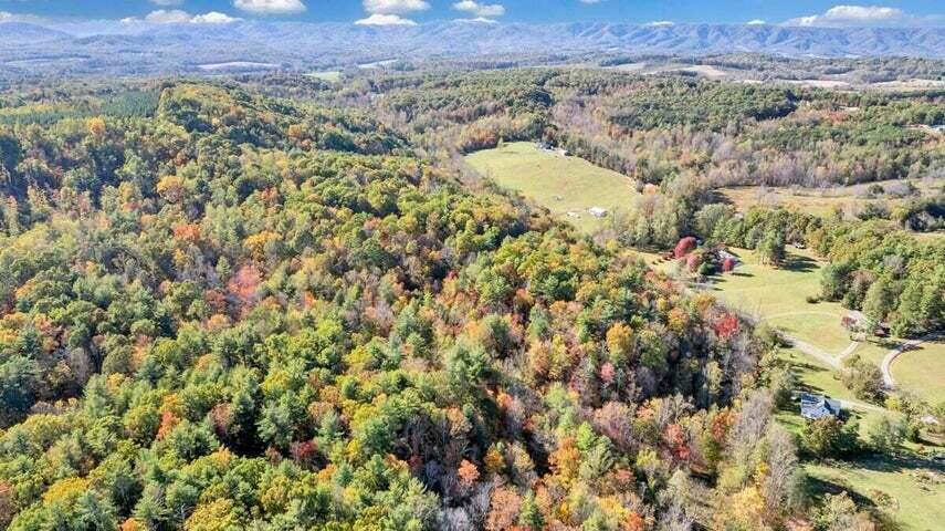 0 Six Mile Post Road Callaway, VA 24067 - Photo 48 of 73 a46