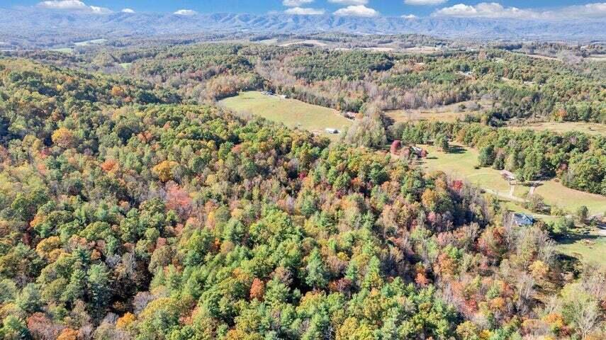 0 Six Mile Post Road Callaway, VA 24067 - Photo 49 of 73 a47