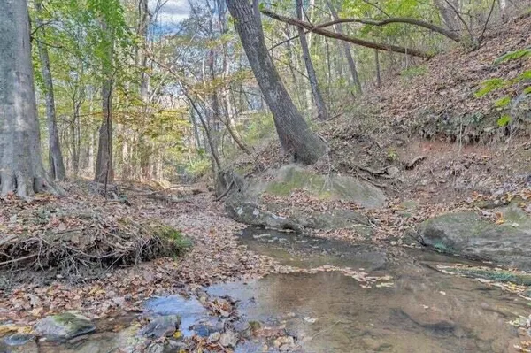 a view of a house with yard and a tree