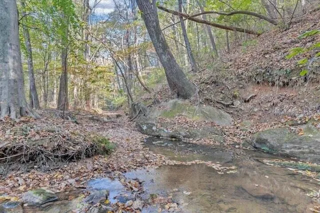 a view of a house with yard and a tree