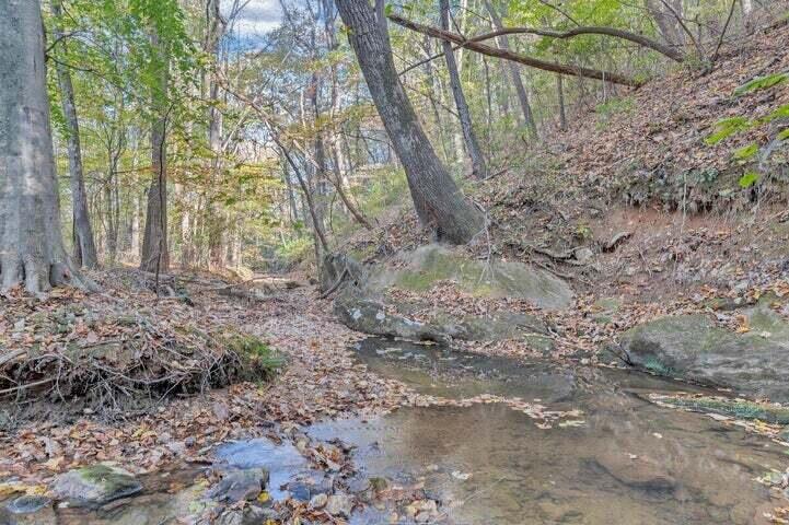 0 Six Mile Post Road Callaway, VA 24067 - Photo 5 of 73 a37