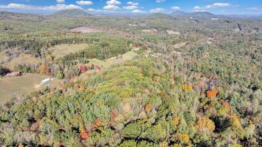 0 Six Mile Post Road Callaway, VA 24067 - Photo 54 of 73 a52