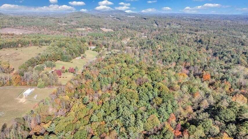 0 Six Mile Post Road Callaway, VA 24067 - Photo 55 of 73 a view of a field