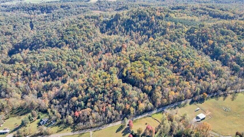 0 Six Mile Post Road Callaway, VA 24067 - Photo 60 of 73 a59