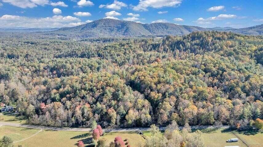 0 Six Mile Post Road Callaway, VA 24067 - Photo 63 of 73 a view of a houses with a yard