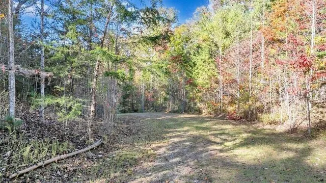 $197,700 | 0 Six Mile Post Road, Callaway, VA 24067