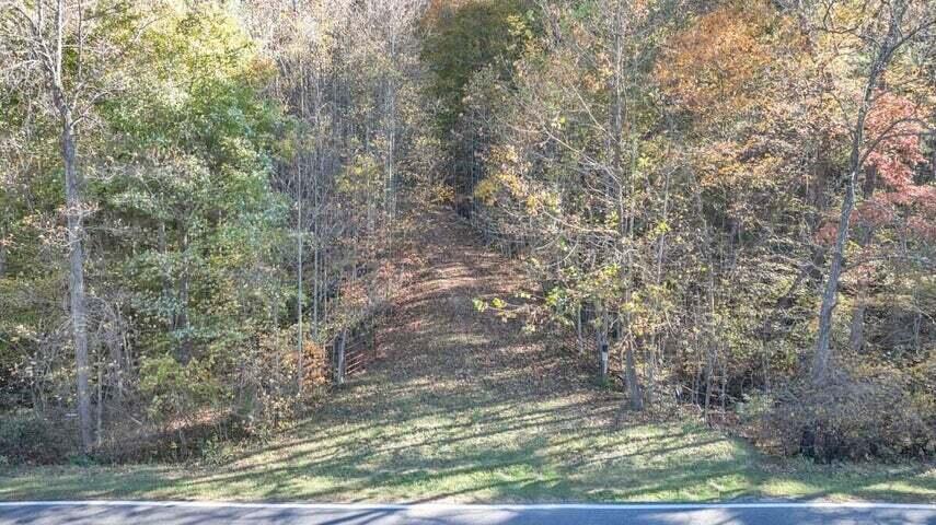 0 Six Mile Post Road Callaway, VA 24067 - Photo 7 of 73 a view of a yard