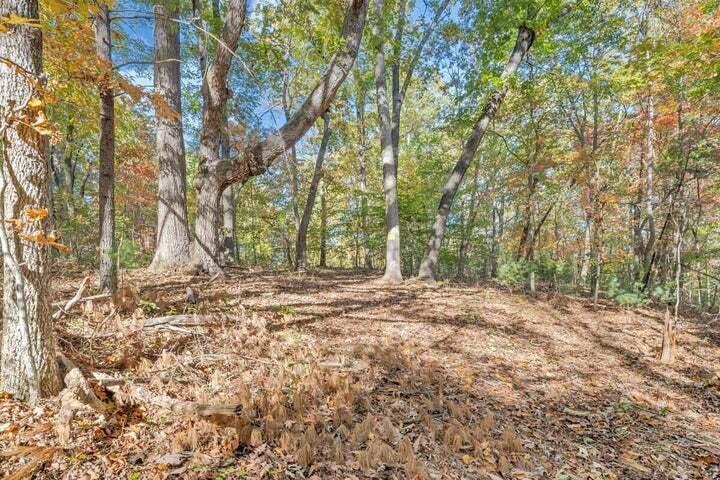 0 Six Mile Post Road Callaway, VA 24067 - Photo 72 of 73 a view of a yard with a tree