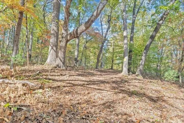 $197,700 | 0 Six Mile Post Road, Callaway, VA 24067