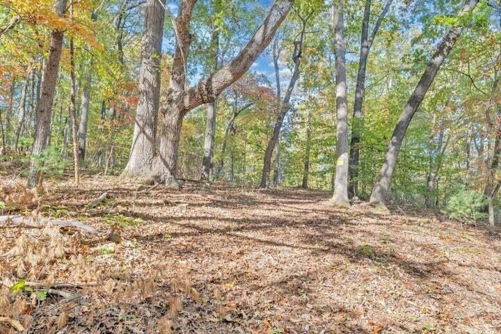 0 Six Mile Post Road Callaway, VA 24067 - Photo 73 of 73 a view of a yard with large trees