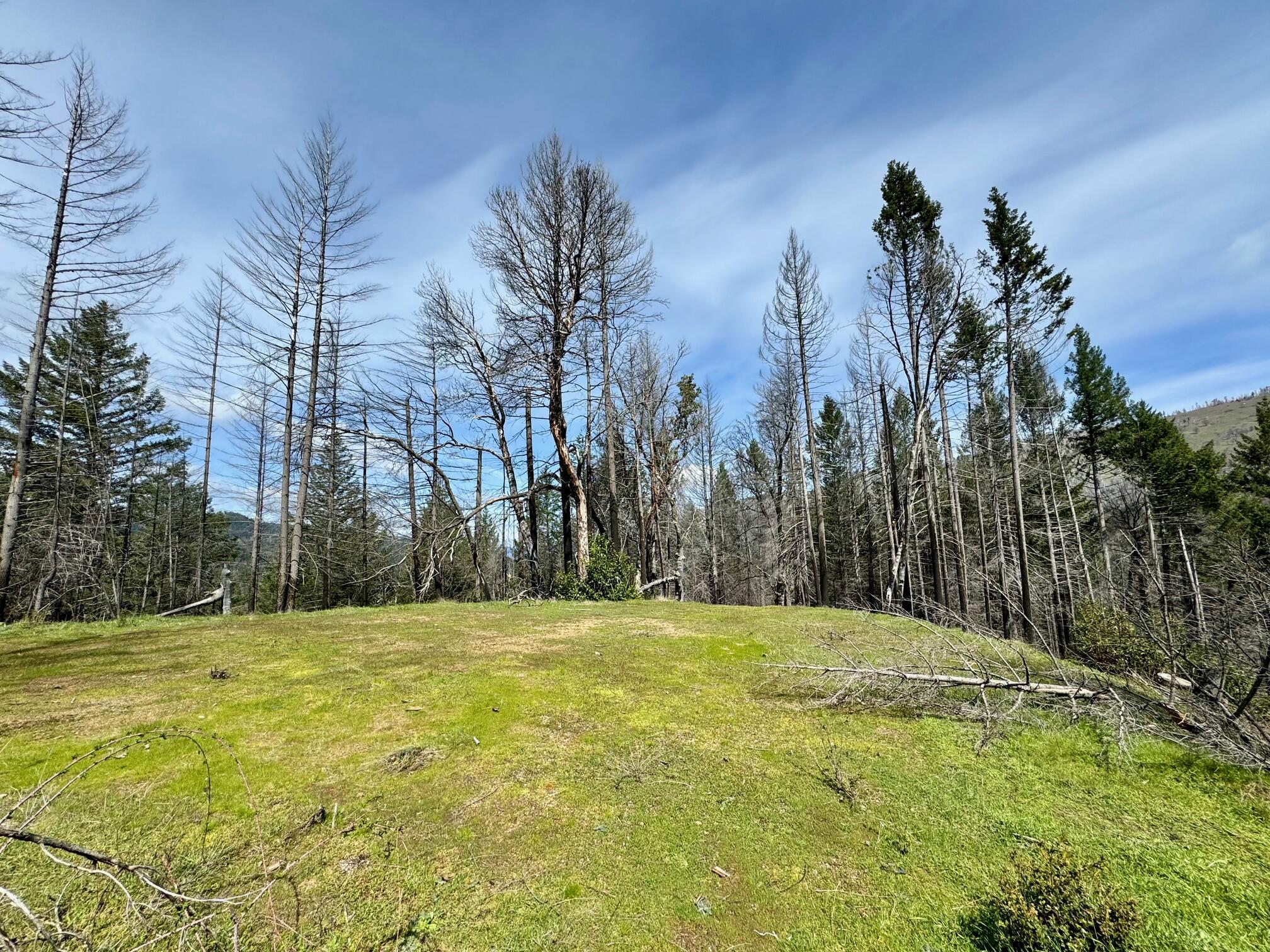 5990 Lower West Side Road Mad River, CA 95552 - Photo 3 of 26