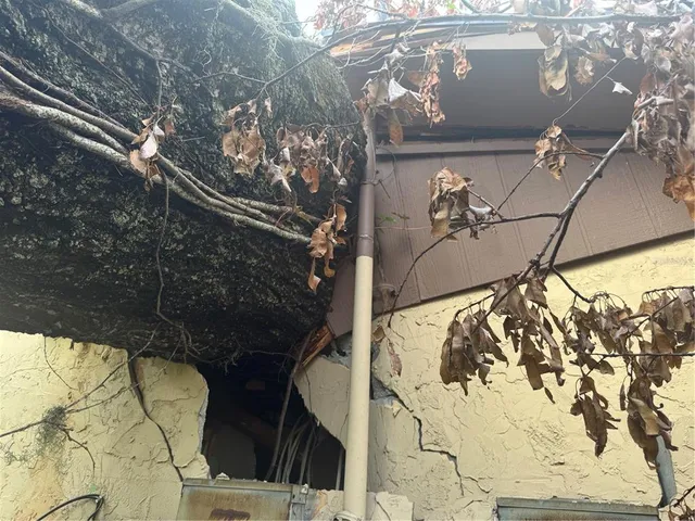 a vase of flowers sitting on a floor