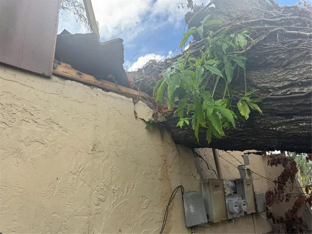 a view of a wooden floor