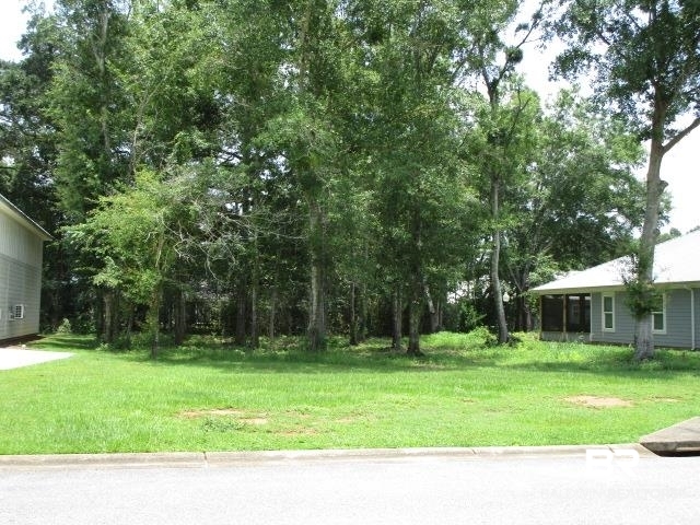Lot 30 Reunion Place Foley, AL 36535 - Photo 4 of 15