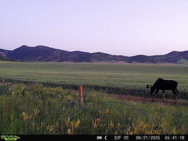 955-943 Hegstrom Road Grace, ID 83241 - Photo 42 of 45 Gallery Image 42
