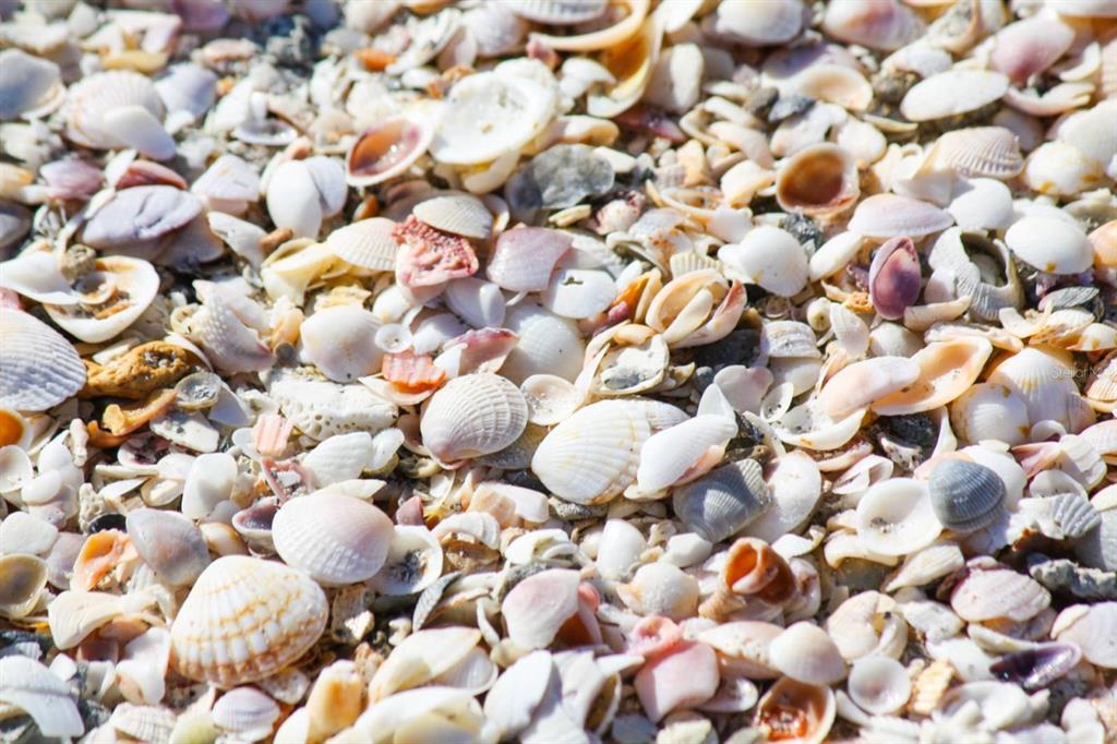 16333 Gulf Boulevard, Unit 204 Redington Beach, FL 33708 - Photo 41 of 43