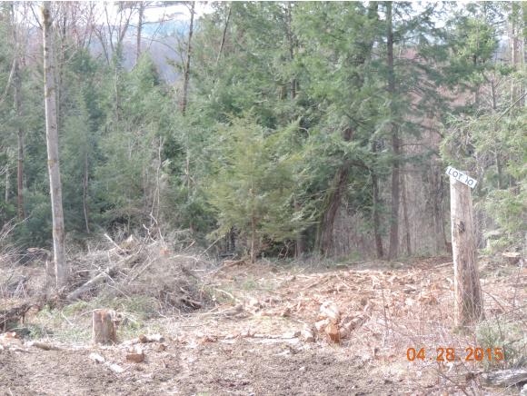 Lot #10 Deer Run Walpole, NH 03608 - Photo 2 of 3