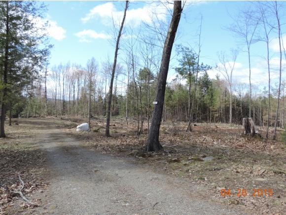 Lot #10 Deer Run Walpole, NH 03608 - Photo 3 of 3