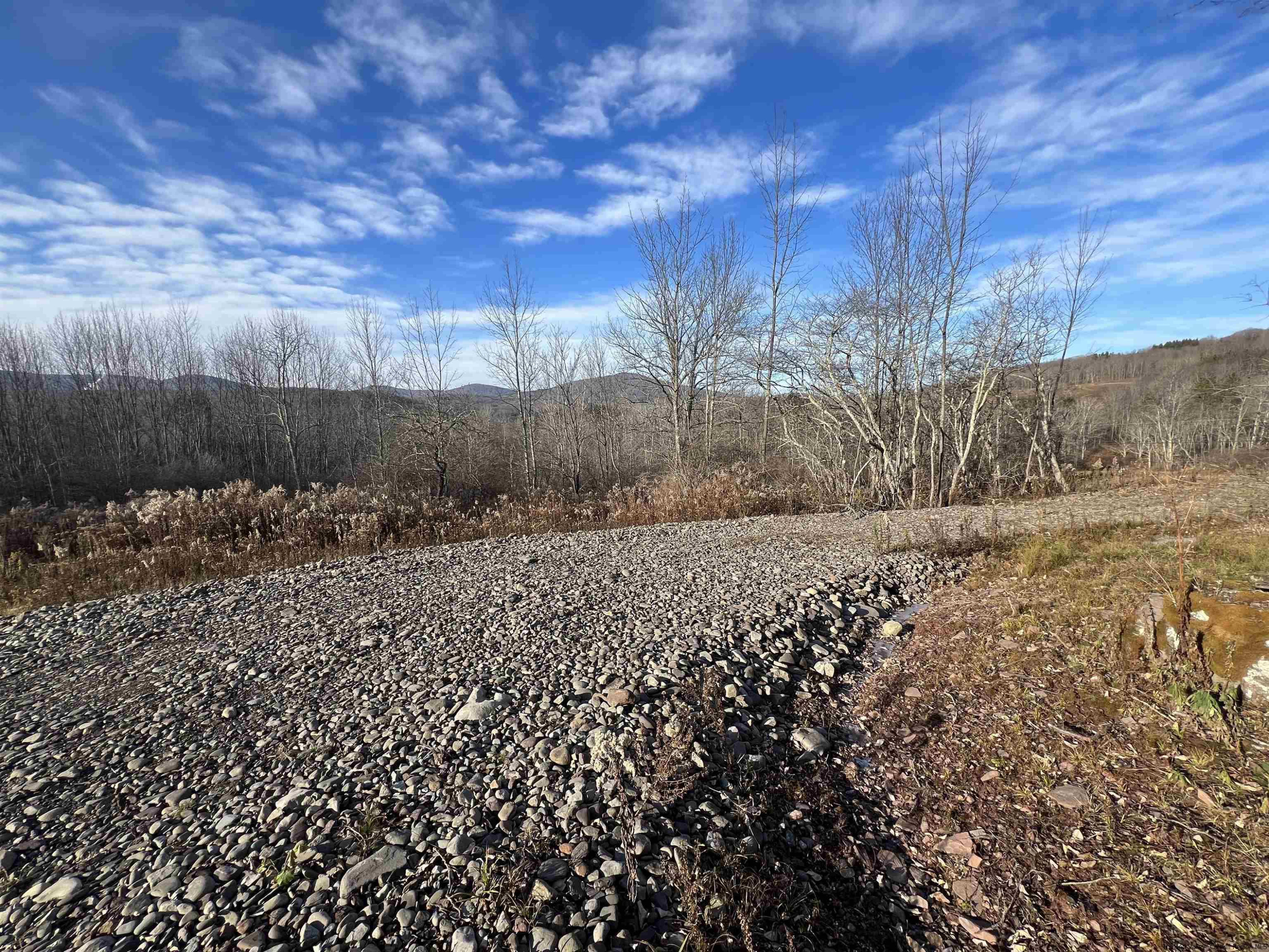 480 Hall Road Roxbury, NY 12421 - Photo 13 of 24 a view of a yard