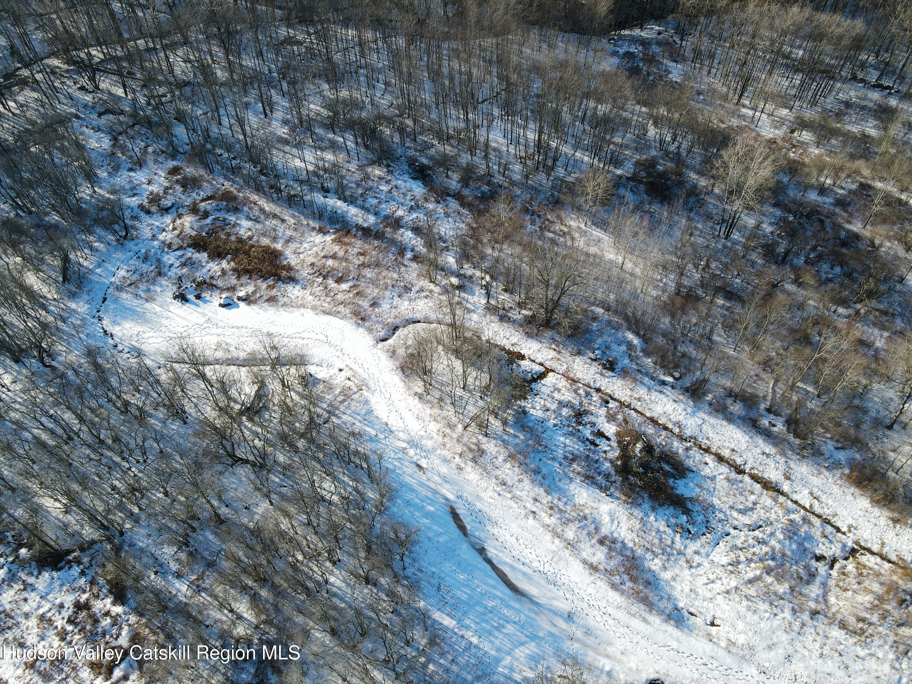 480 Hall Road Roxbury, NY 12421 - Photo 14 of 24 a view of a forest with trees