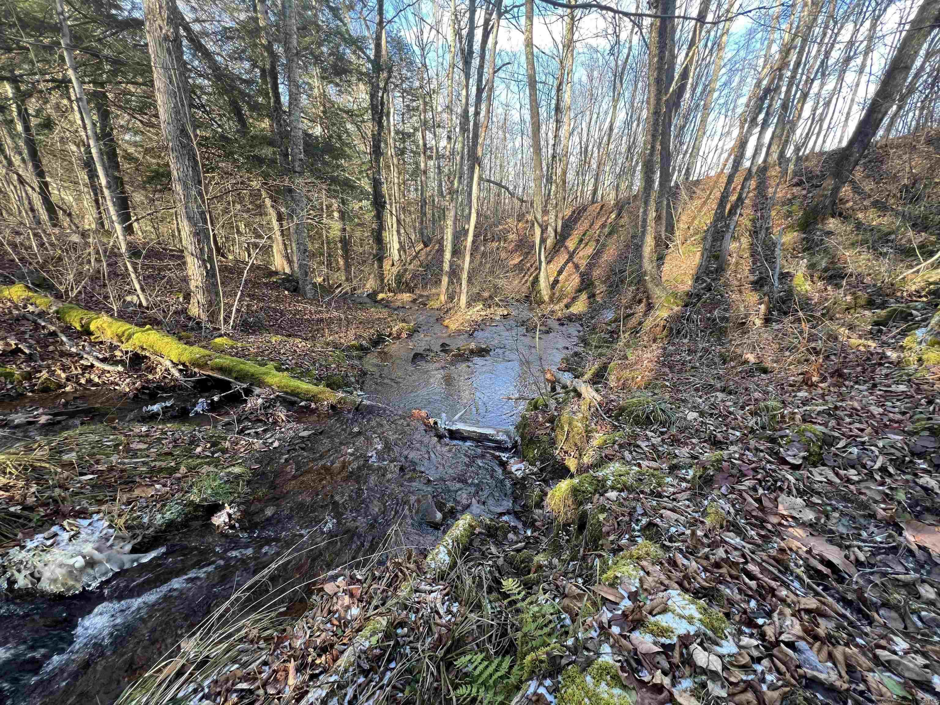 480 Hall Road Roxbury, NY 12421 - Photo 16 of 24 a backyard of a house with lots of green space