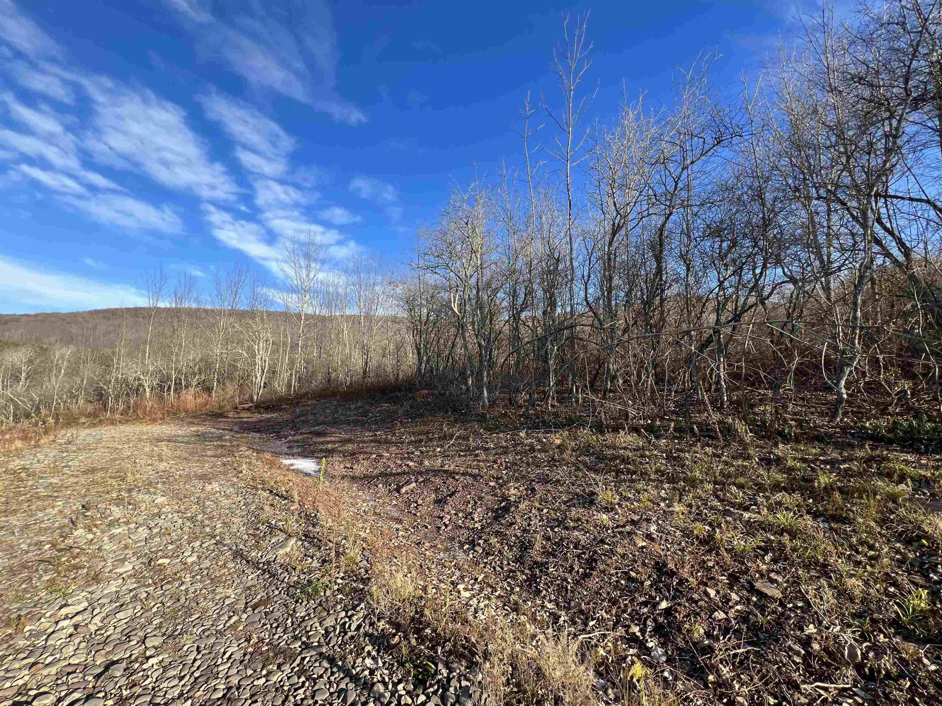 480 Hall Road Roxbury, NY 12421 - Photo 18 of 24 a view of a backyard