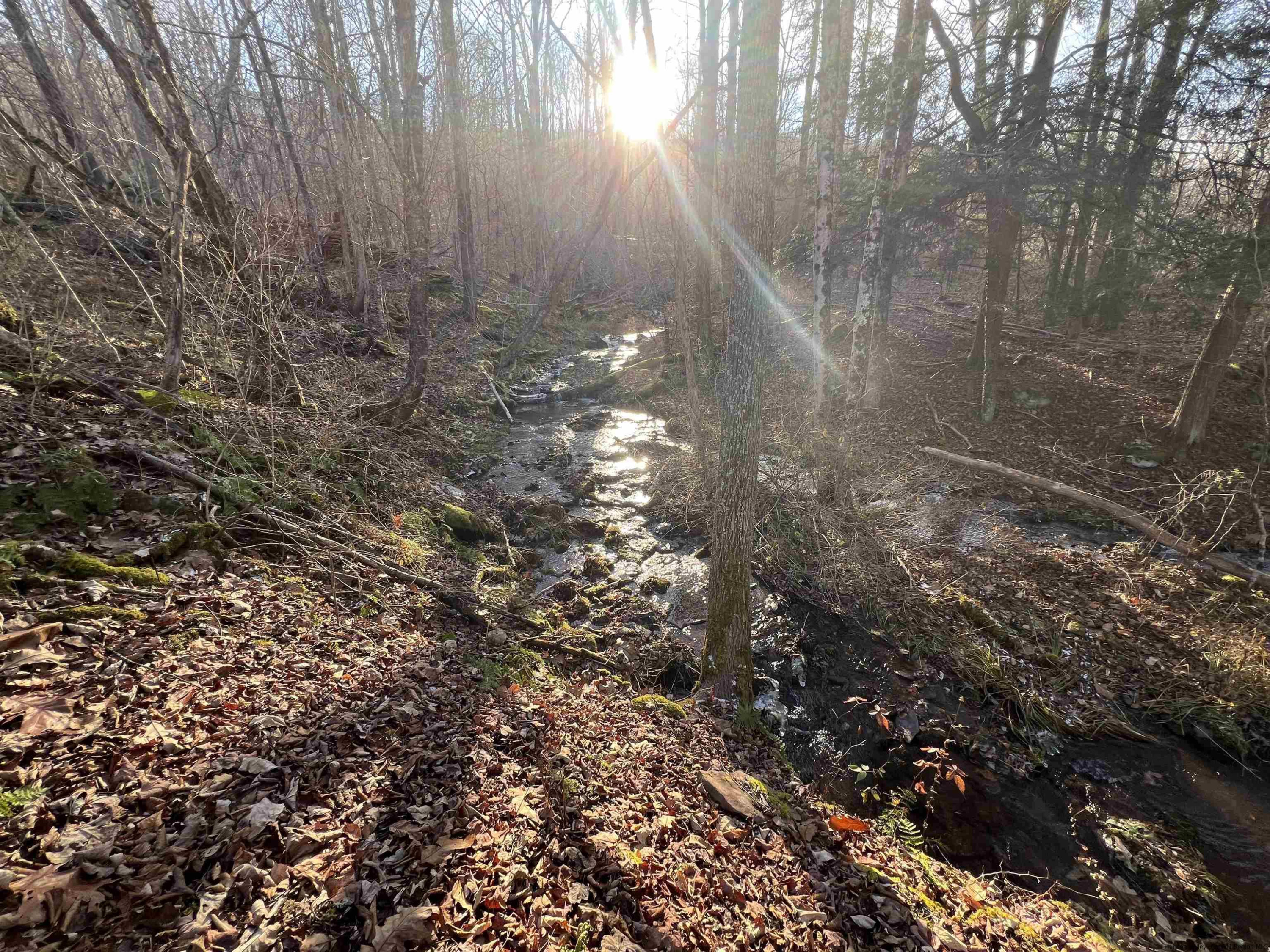 480 Hall Road Roxbury, NY 12421 - Photo 19 of 24 a view of a yard