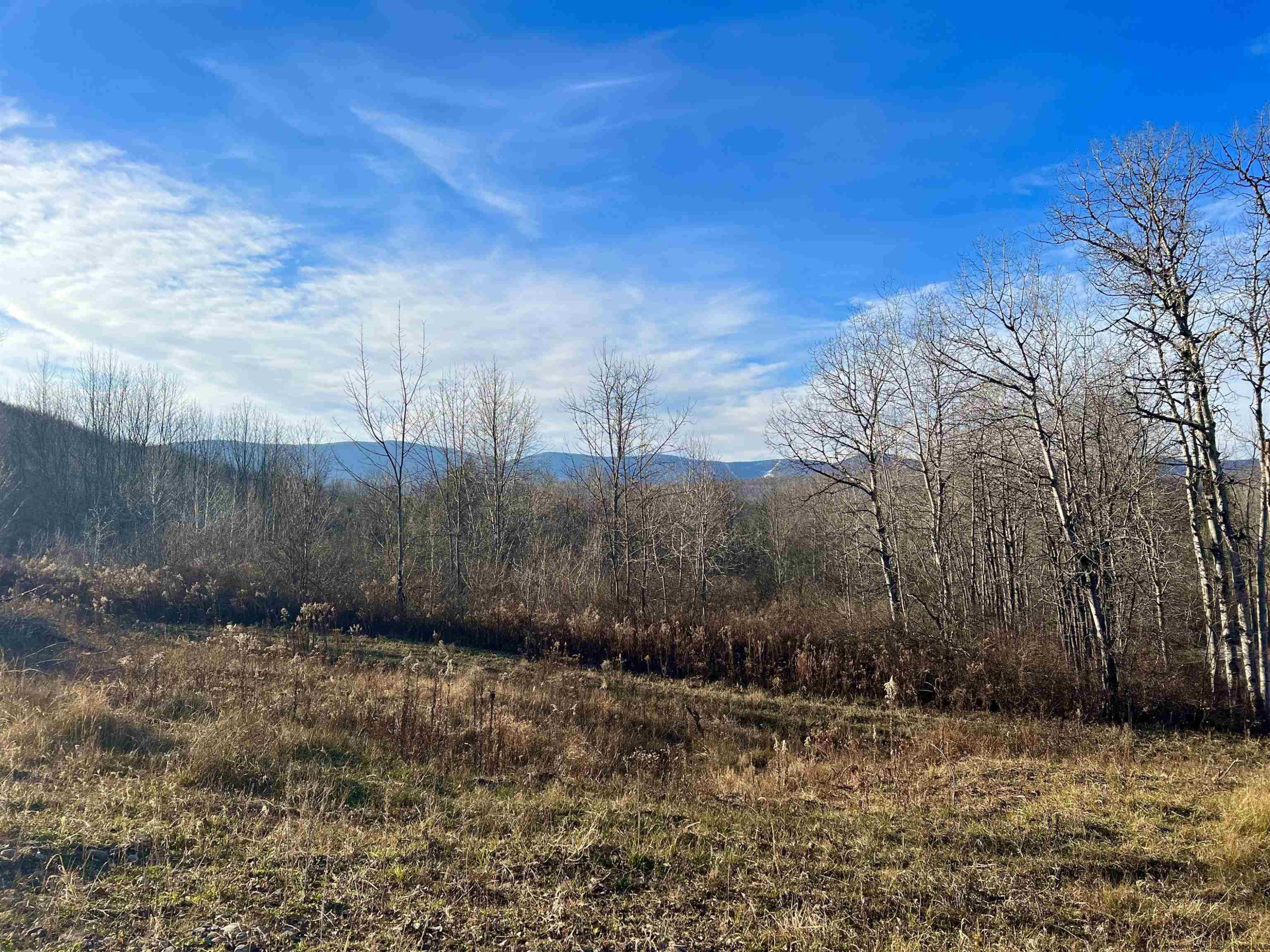 480 Hall Road Roxbury, NY 12421 - Photo 20 of 24 a view of a backyard