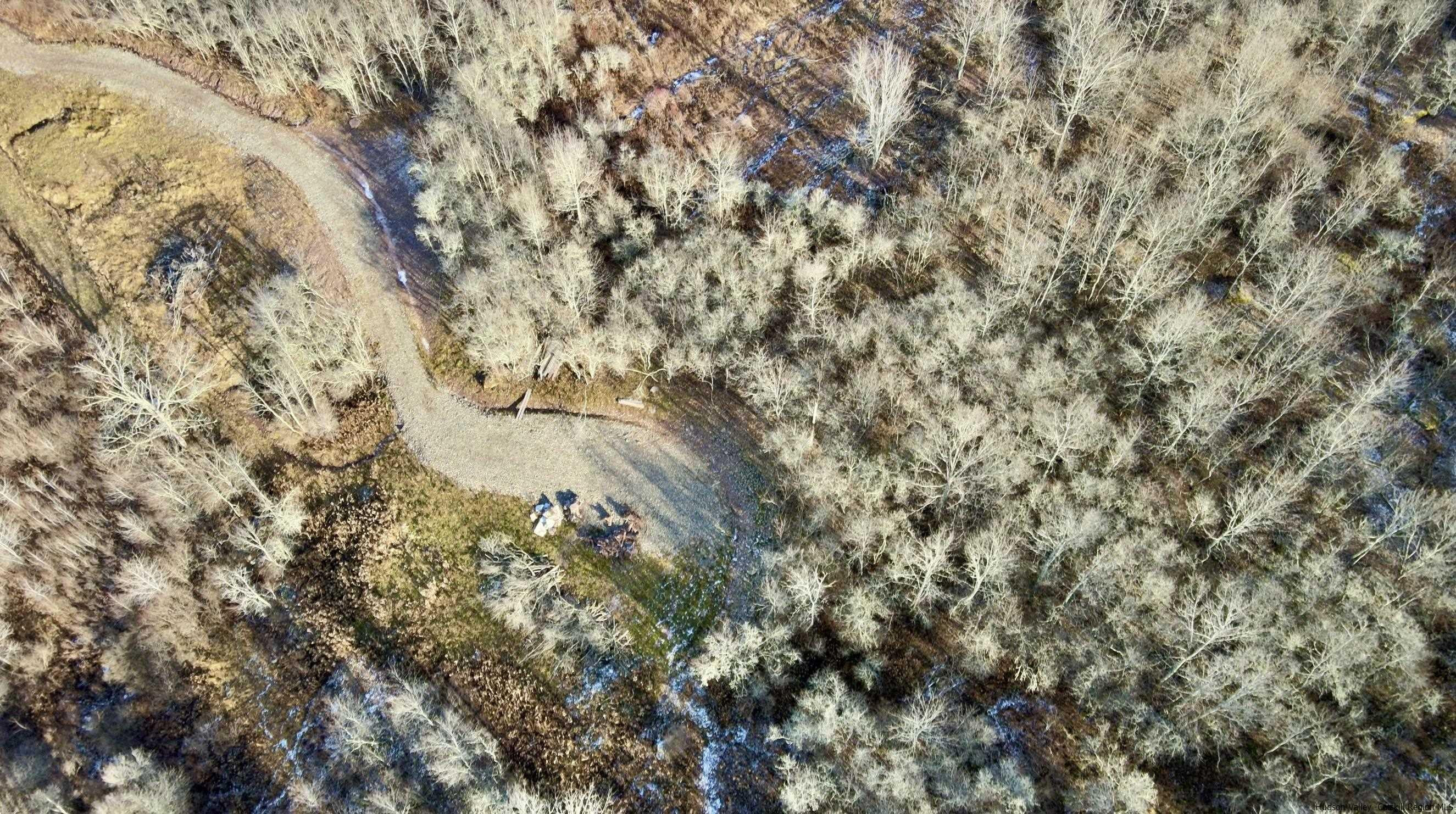 480 Hall Road Roxbury, NY 12421 - Photo 21 of 24 a view of a tree